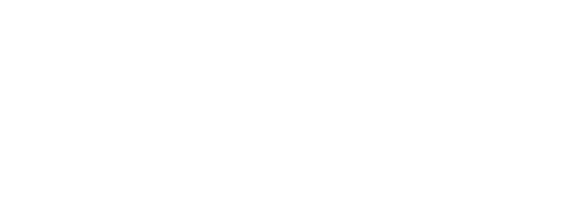 DecisionBrain Logo