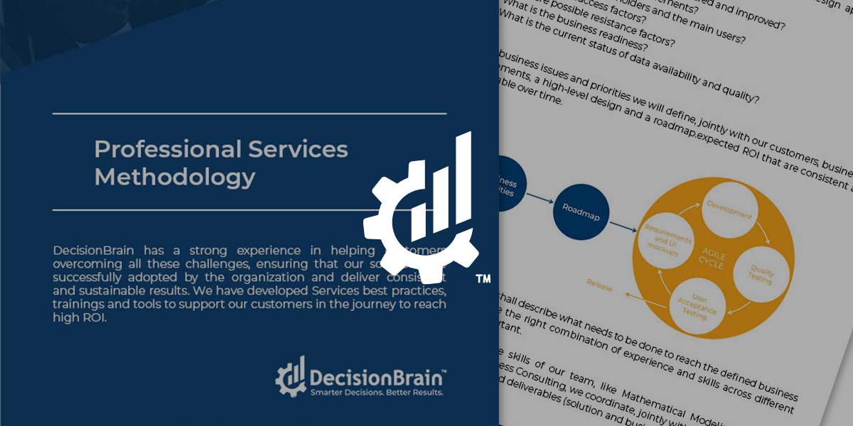 [Downloadable] DecisionBrain’s Professional Services Methodology PDF